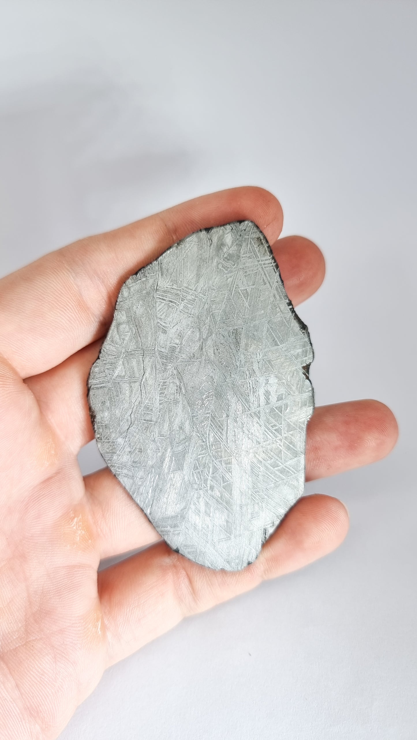 Muonionalusta Meteorite, Sweden. Slice 76.99grams