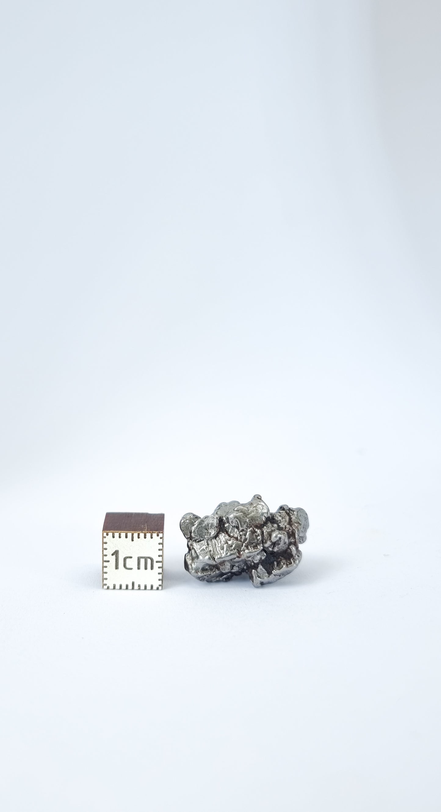 Campo del Cielo meteorite, South America. 52.60g lot