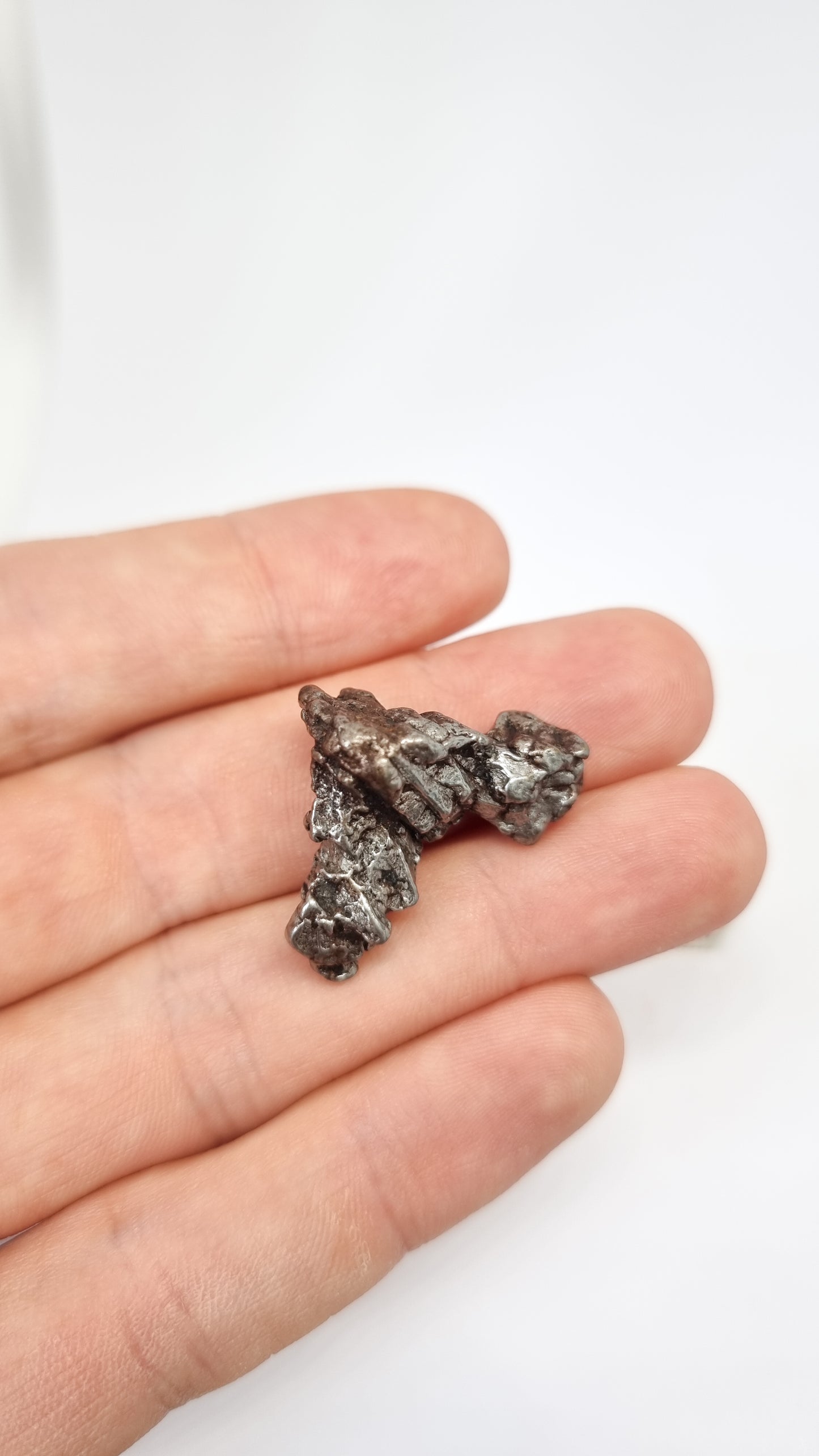 Campo del Cielo meteorite, South America, 14.83g