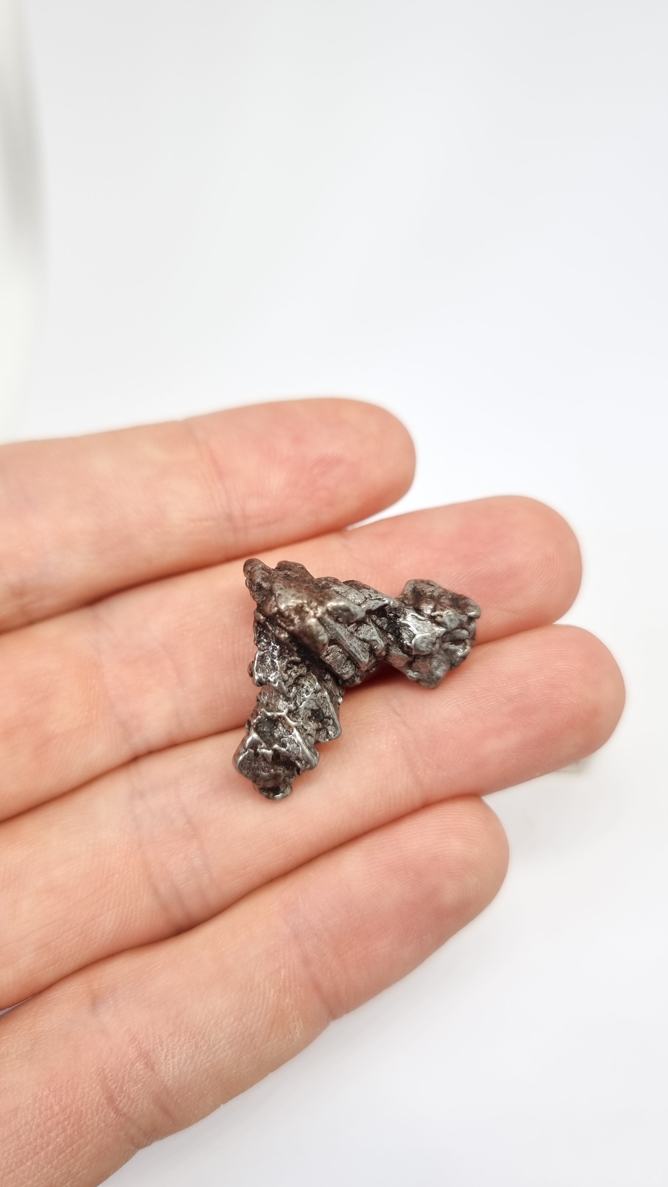 Campo del Cielo meteorite, South America, 14.83g