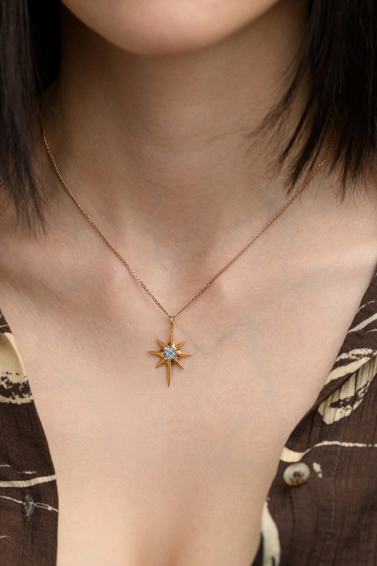 North Star pendant with Muonionalusta meteorite, gold plated.